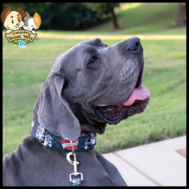 Country Brook Petz - HossFit Jr Wide Martingale Dog Collar - Attitude Collection Featuring Untamed Designs (I Love Mom, Medium) Medium (Pack of 1) I Love Mom - PawsPlanet Australia