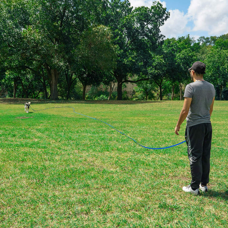 Hi Kiss Dog/Puppy Obedience Recall Training Agility Lead - 15ft 20ft 30ft 50ft 100ft Training Leash - Great for Training, Play, Camping, or Backyard Purple 30 Feet - PawsPlanet Australia
