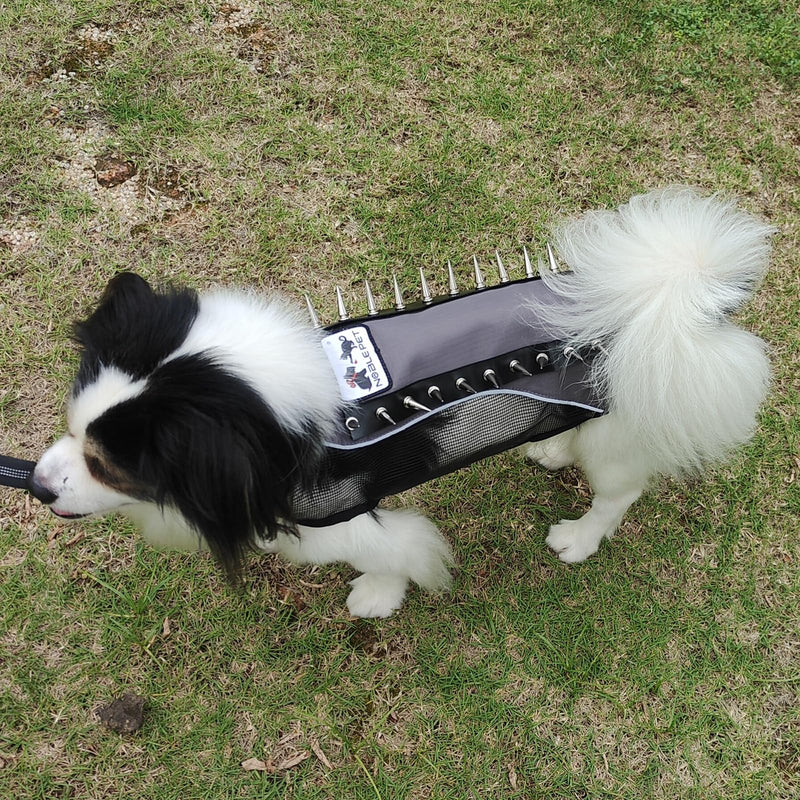 Spike Mesh Dog Harness Summer Reflective Jacket Waterproof Coat Cool Vest for Small Medium Large Dogs Gray Small - PawsPlanet Australia