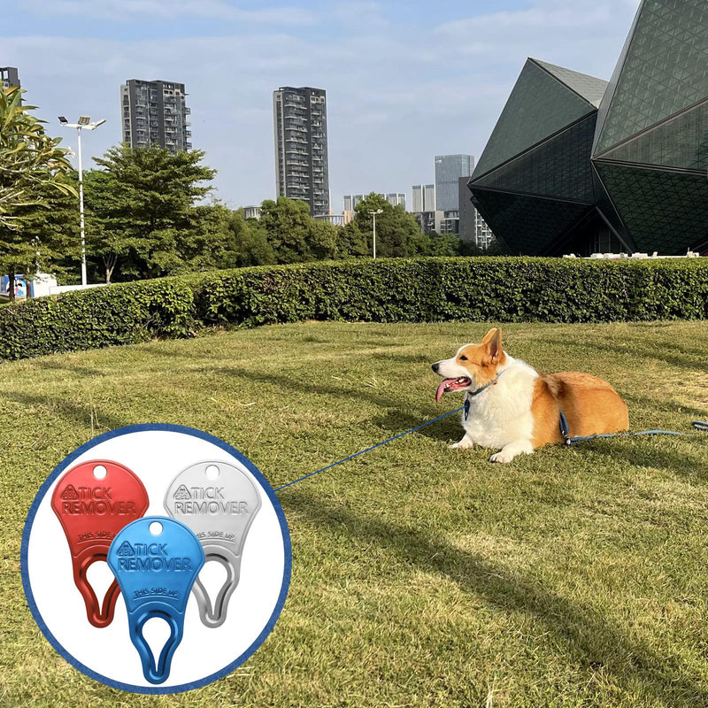 Tick Remover Tool Portable, Tick Removal for Pet and Humans, Safe and Reliable, Pain-Free, Essential Tools for Outdoor Activities- 3 pcs - PawsPlanet Australia