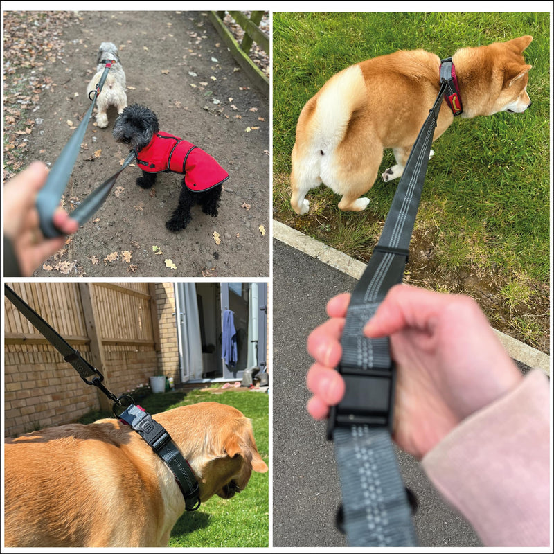 Retractable Dog Lead – Extendable Slip Lead for Small, Medium & Large Dogs, Hands-Free Anti Pull Leash with all harness Compatibility 1.5 to 2.5M Red.Grey One Size - PawsPlanet Australia