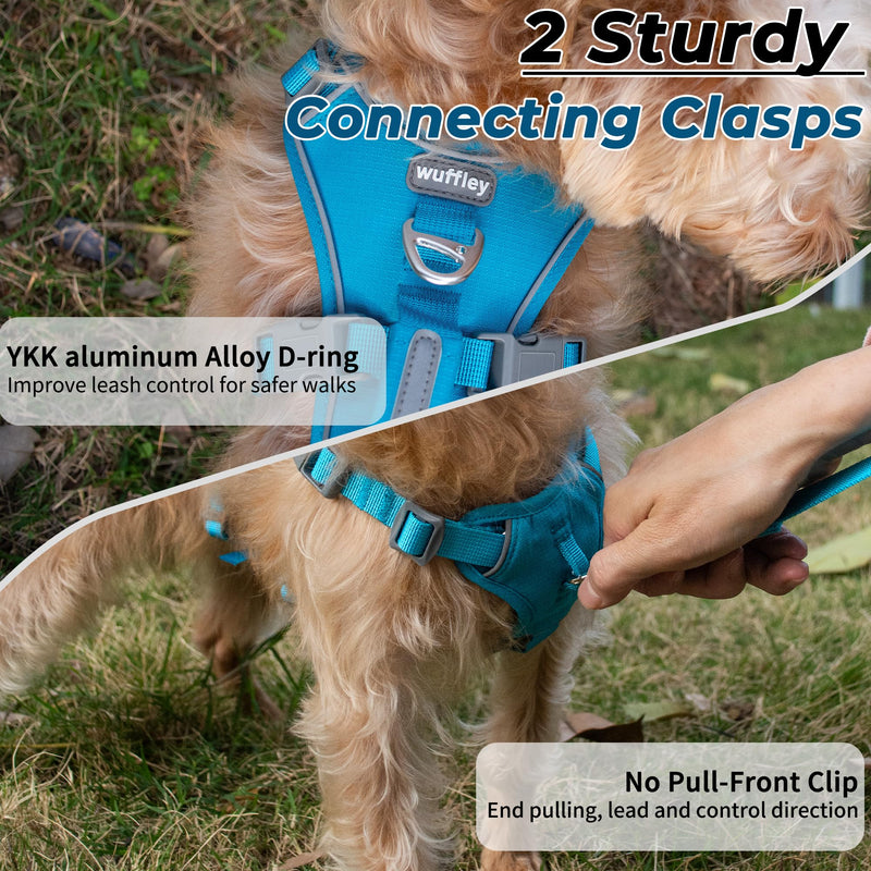 Escape Proof Dog Harness and Leash Set, Lightweight Dog Harness with Lift and Assist Handle, No Pull Reflective Pet Vest for Small Medium Dogs, Ideal for Puppy Walking and Training (Blue, S) Blue (Harness+Leash)