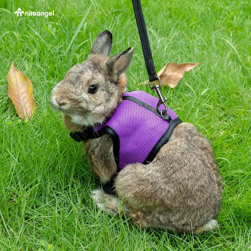Niteangel Adjustable Soft Harness with Elastic Leash for Rabbits (M, Purple) M - PawsPlanet Australia