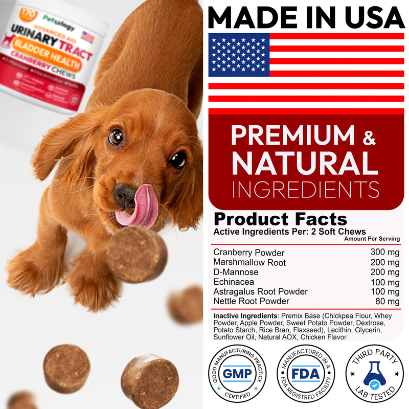 Dog UTI Treatment - 170 Cranberry Chews for Dogs - Urinary Tract Infection, Bladder & Kidney Health Multivitamin - Cranberry Supplement for Dogs with D-Mannose - Dog Vitamins and Supplements Chicken Cranberry Urinary Support - 170 Chews - PawsPlanet Australia