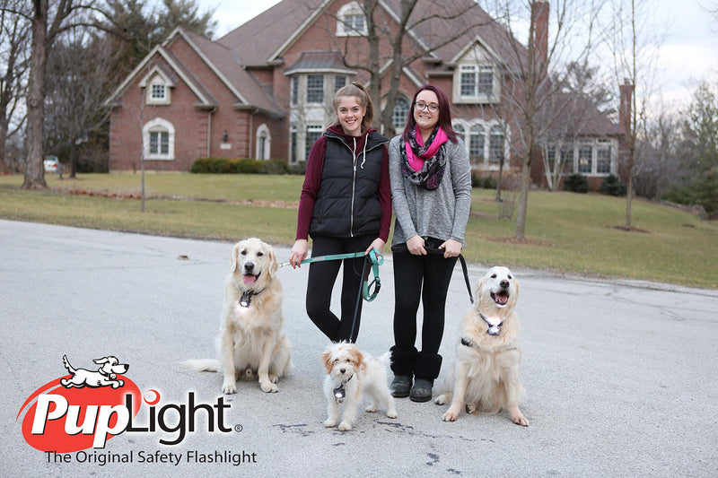 PupLight2 Twice as Bright with Reflective Dog Safety Collar, Black - PawsPlanet Australia
