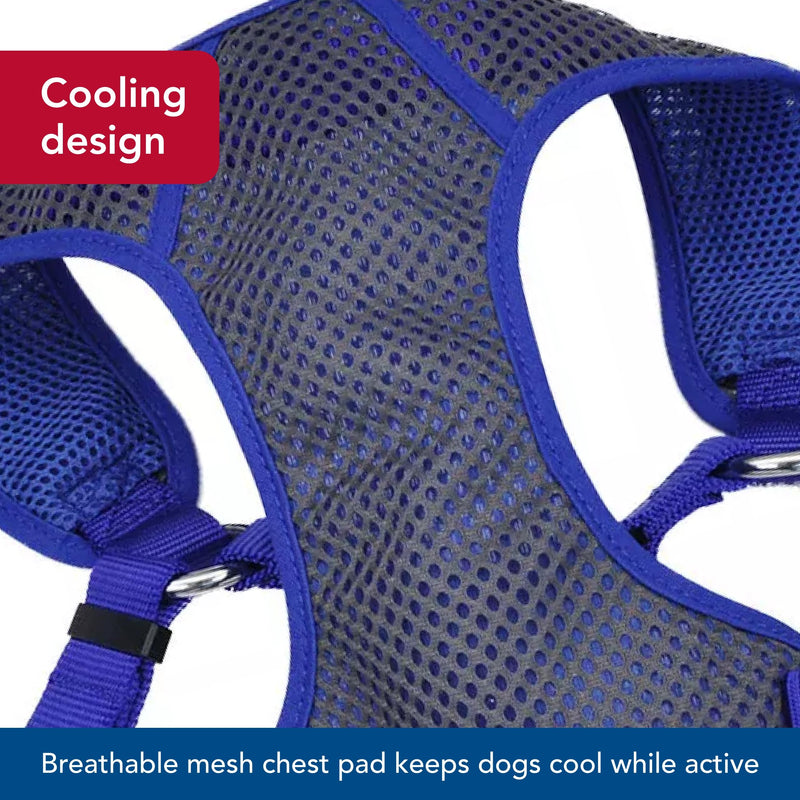 Coastal Pet Comfort Soft Sport Wrap Adjustable Dog Harness - Large & Small Dog Harness - Durable Harness for Dogs with Mesh Chest Pad - Grey with Blue, 5/8" x 16-19" XS (16-19" girth) Gray with bright accents - PawsPlanet Australia