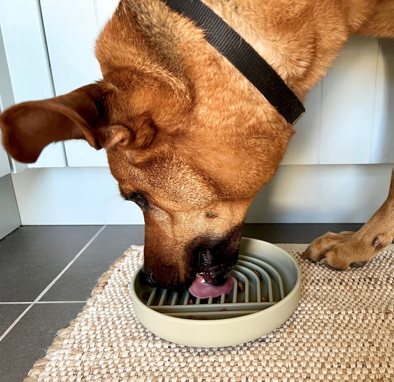Slow Feeder Dog Bowl: The Slowdown Bowl is A Modern, Silicone Puzzle Bowl & Lick Mat. Slow Eating, Stop Gulping, Take It Easy. Dishwasher Safe. Sage Green - PawsPlanet Australia