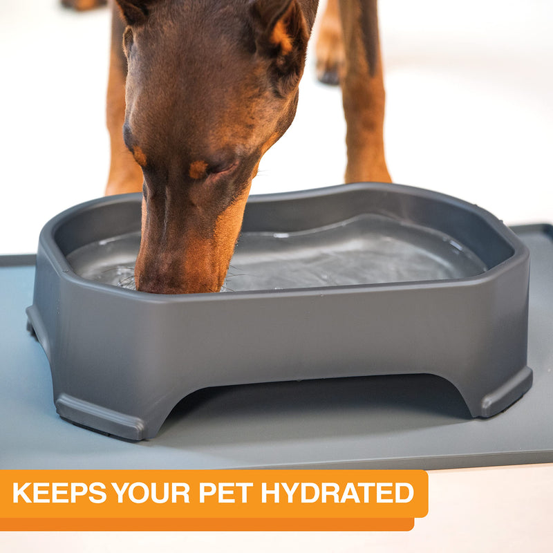 Neater Pet Brands Big Bowl - Extra Large Water Bowl for Dogs (1.25 Gallon Capacity, 160 oz) - Huge Over Size Pet Bowl - Gunmetal Grey 1.25 Gallons - PawsPlanet Australia