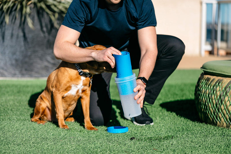 Dexas MudBuster Large Portable Pro Blue Paw Cleaner for Dogs - Premium Quality Pet Supplies and Accessories - PawsPlanet Australia