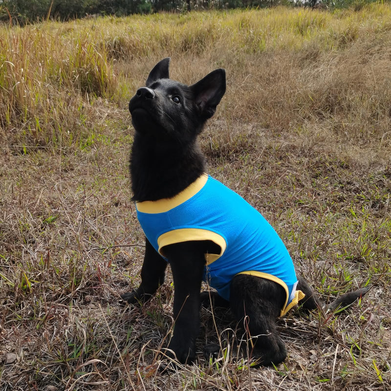 Dog Surgery Recovery Suit After Spay, Dog Onesies for Small, Medium & Large Pet, Abdominal Wounds Post Surgical Recovery Suit lternatives to E-Collars Bandages Recovery Cones M Blue - PawsPlanet Australia