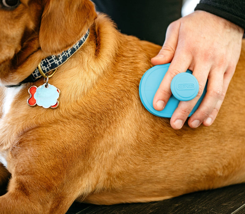 Dexas BrushBuster Silicone Gentle Dog Grooming and Massage Brush Blue - PawsPlanet Australia