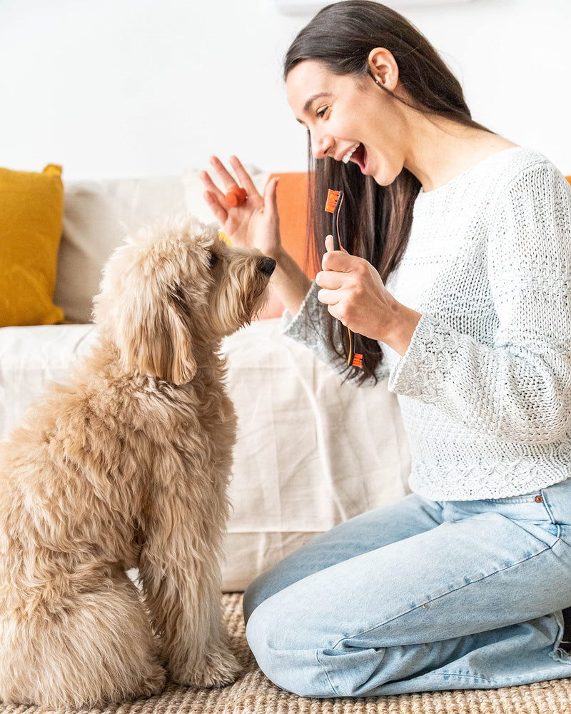 Dog Toothbrush and Bite Block Assistant Combo Pack by Paw Ready for Puppies' Dogs and Cats Small Size for use with Pets Between 5-15 lbs. (2-7kg) Protects Hands and Fingers While Brushing - PawsPlanet Australia