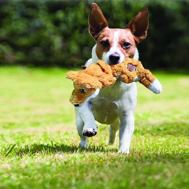 KONG - Scrunch Knots Raccoon - Internal Knotted Ropes and Minimal Stuffing for Less Mess - For Medium/Large Dogs - PawsPlanet Australia
