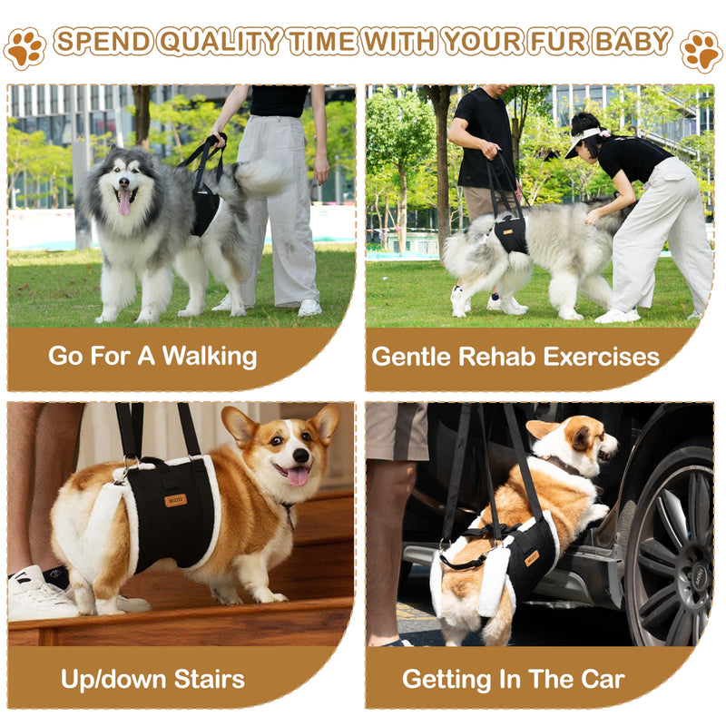 Dog Lift Harness Sling for Large Dogs - Adjustable Rear Leg Support with Padding & No-Slip Back Fixed Buckle, Hip Dysplasia/ACL/TPLO Surgery Recovery Aid, Dog Harness for Injured,Disabled/Senior Dogs L - PawsPlanet Australia