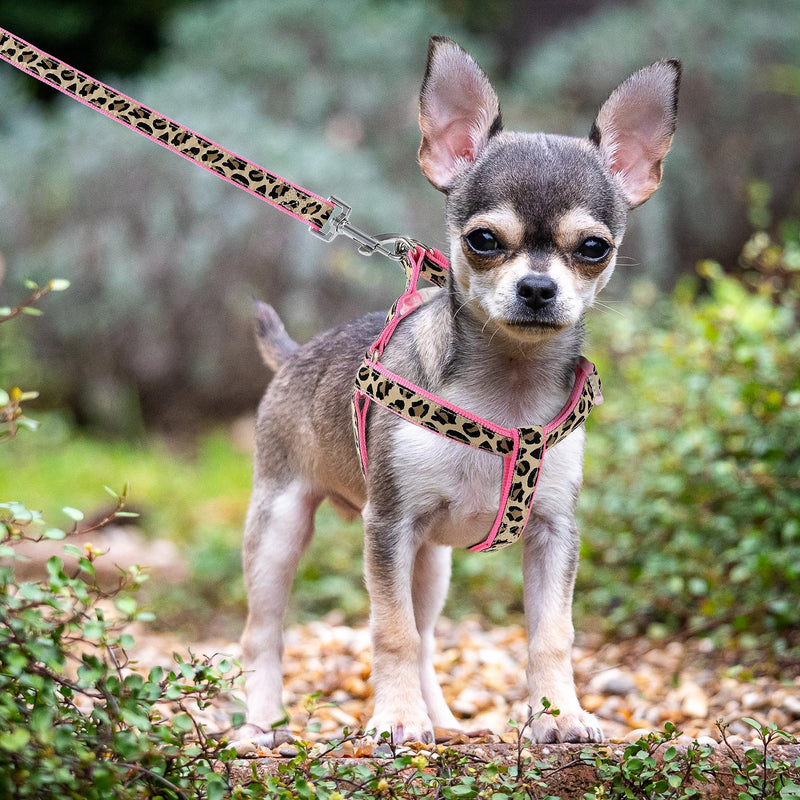 Mile High Life Leopard Dog Harness Collar Leash Set, Adjustable No Pull Dog Halter Harness for Small Breed Dogs, Easy Control for Training Walking (Pink, XS Chest 9"-15", Neck 8"-12") X-Small Neck 8"-12" Pink - PawsPlanet Australia