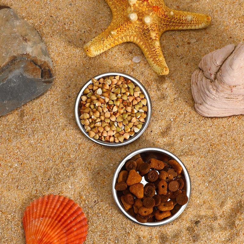 6 Pcs Hermit Crab Food and Water Bowl, Small Food Dish Water Dish Tiny Stainless Steel Feeding Dishes for Hermit Crab Cricket Snail Gecko Insect - PawsPlanet Australia