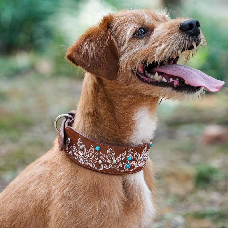 Blueberry Pet Genuine Leather Dog Collar - Western-Inspired Brown Leather Dog Collar for Large Dogs with Floral Embroidery & Turquoise Studs, 18-22 Inch Adjustable & Durable for City Pet Owners Canyon Brown