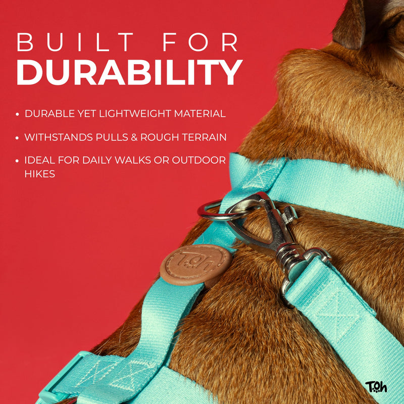 Dog Harness and Leash Set, Stylish Design Pet Harness Set with Adjustable Straps, Easy to Use and Comfortable Cat Harness and Leash, Perfect for Pets Training Outdoor Walking (Laguna, XSmall) Laguna - PawsPlanet Australia