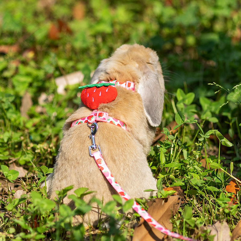 Rabbit Harness and Leash - Adjustable Bunny Harness Escape Proof for Walking Running Hiking Camping Outdoor - Pink Strawberry Pattern Cute Small Animal Harness Leash Set Neck 6.3"-9.8", Chest 7.8"-13.7" - PawsPlanet Australia
