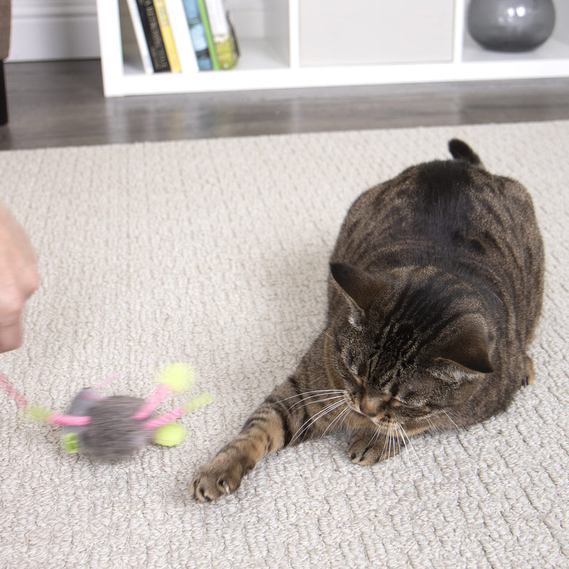 SmartyKat Bouncy Mouse Bungee Dangler Plush Cat Toy - Randomly Selected Color, One Size - PawsPlanet Australia