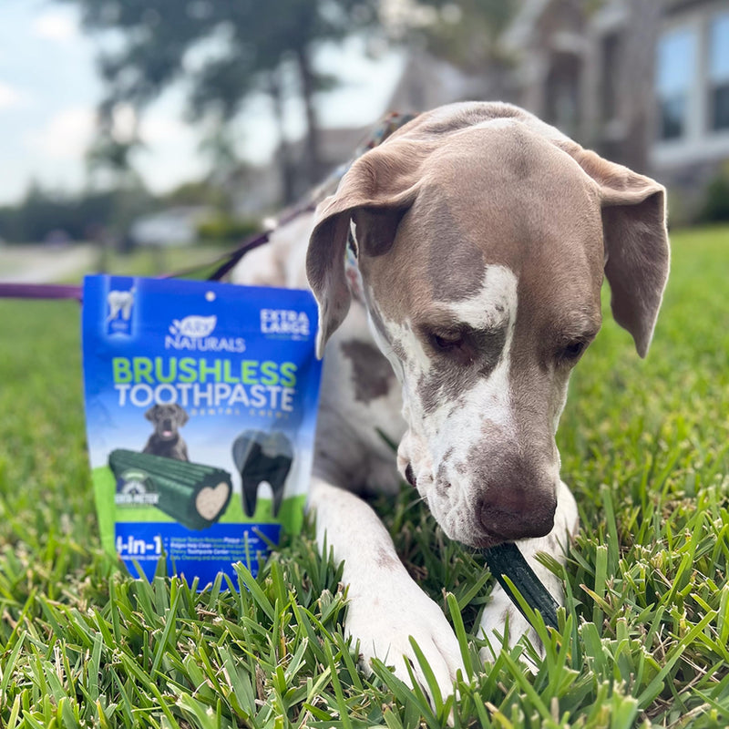 Ark Naturals Brushless Toothpaste, Dog Dental Chews for Extra Large Breeds, Freshens Breath, Unique Texture Helps Reduce Plaque & Tartar, 24oz, 1 Pack Cinnamon 24 Ounce (Pack of 1)