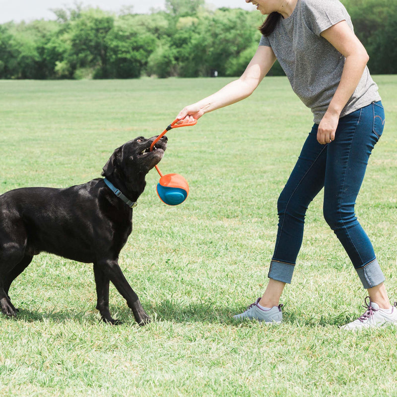 Chuckit Rope Fetch Dog Toy, Indoor and Outdoor Dog Toy, Pack of 1