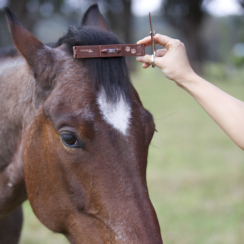 Pet - Quiet Dog Cat Horse Pet Grooming Kit - Low Noise Pet Grooming Clip Cordless for Sensitive Pets - PawsPlanet Australia