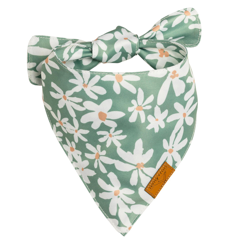 Remy+Roo Spring Dog Bandanas - 4 Pack Taylor Set | Premium Durable Adjustable Polyester Fabric | Patented Shape Girl Dog Bandana, Floral Bandana for Dogs (Small)