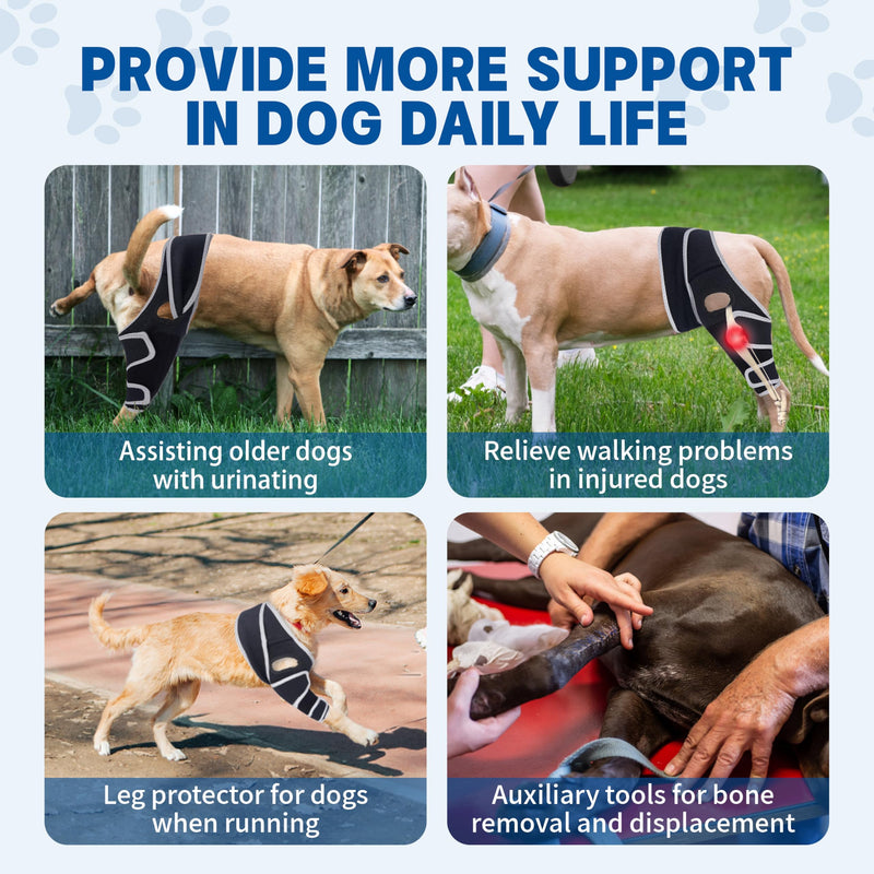 Dog Knee Brace for Torn Acl Hind Leg - Protect Dog's Joints,Adjustable Front Back Leg Support Bracket for Warmth and Support, Four Leg Universal Dog Knee Brace, (XL)