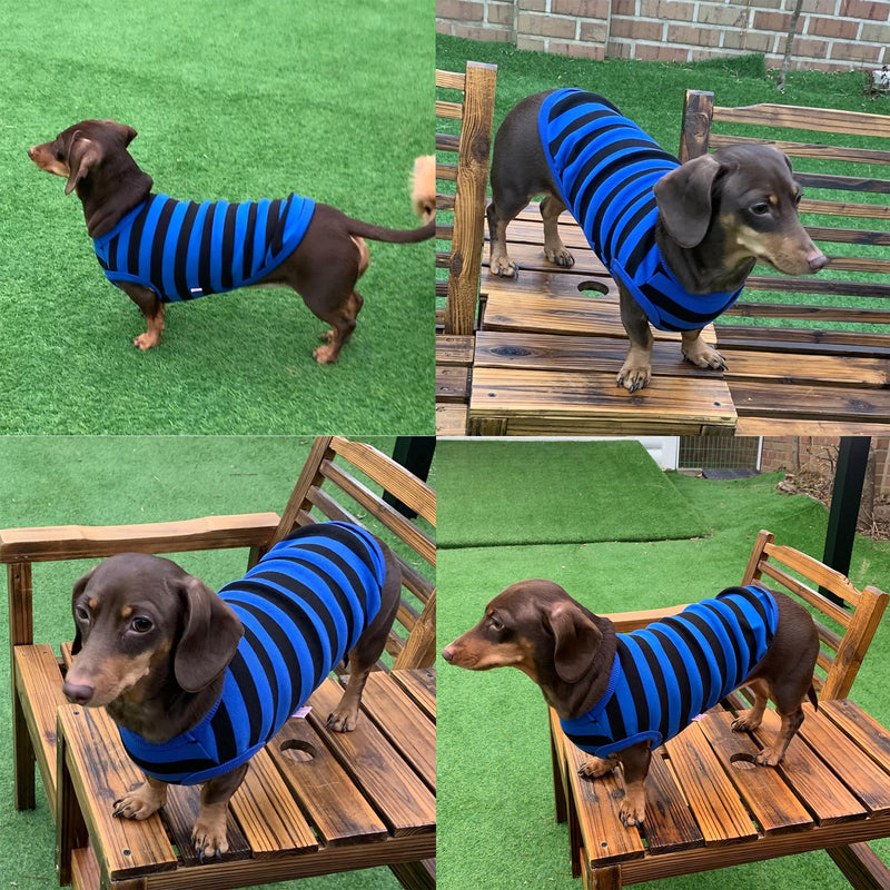 D Doggy Star Dachshund Clothes for Dogs Mini and Adults T Shirts (S,Stripe Blue/Black) 4 Season T Shirt S - Chest 16.14" Stripe Blue/Black - PawsPlanet Australia
