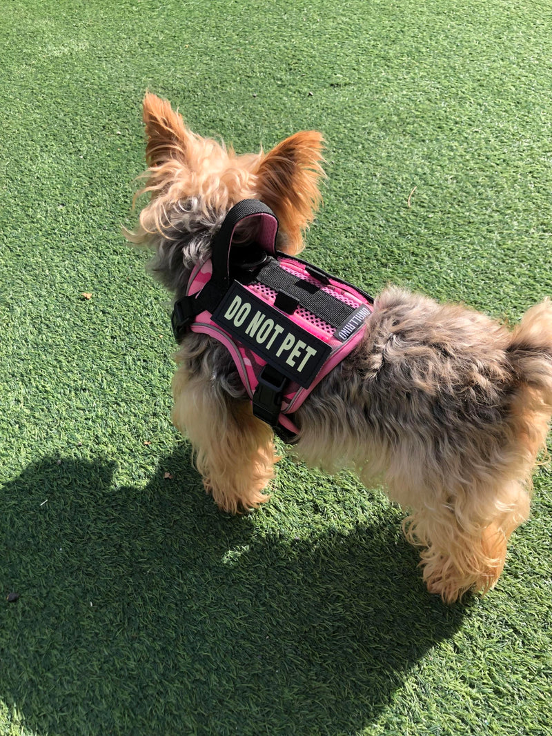 Tactical Dog and Cat Harness for XS and Small Puppy, Air Pet Vest No Pull with Reflective Do Not Pet Patches, Breathable Dog Molle Vests for Training Walking Hunting Camo Pink S - PawsPlanet Australia