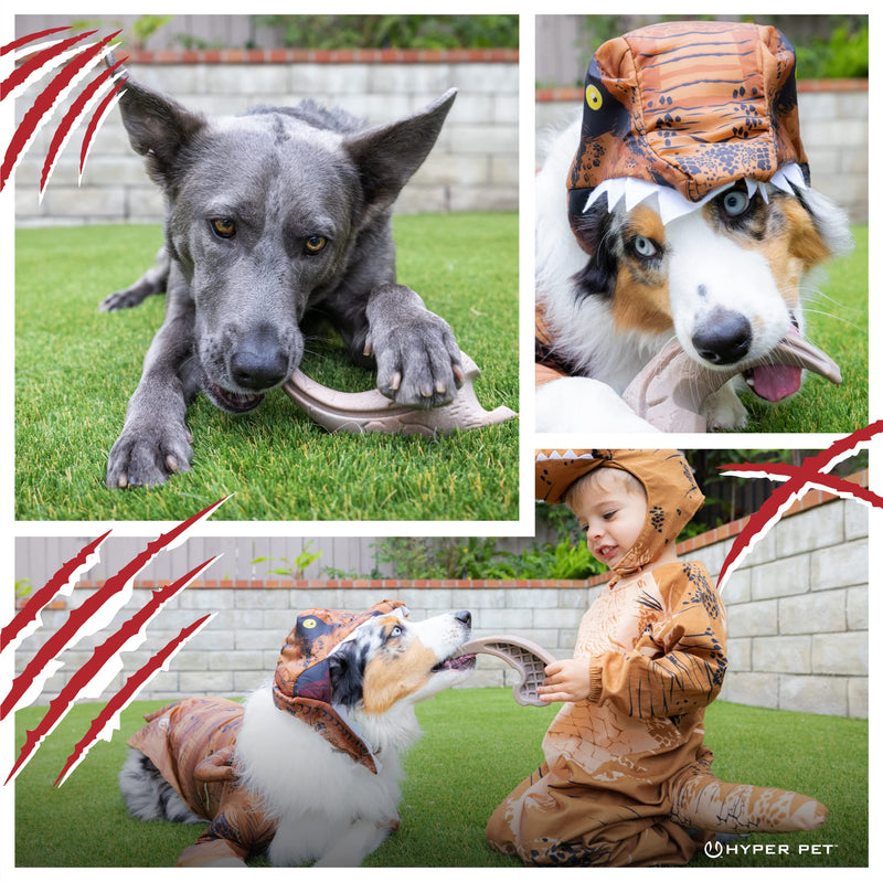 Hyper Pet Fossil Durable Dog Slow Feeder, Chew Toy, Interactive Toys (Bacon Flavored Long Lasting Durable Dog Chew Toy for Aggressive Chewers) Claw + Tooth-2 PK - for All Breeds 2 PACK - PawsPlanet Australia
