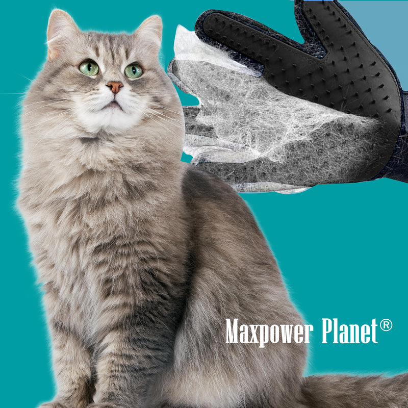 Maxpower Planet Pet Grooming Gloves for Dogs and Cats - Grooming Mitt for Dogs -Cat Gloves - Hair Removal Bruh - All Hair Types Black