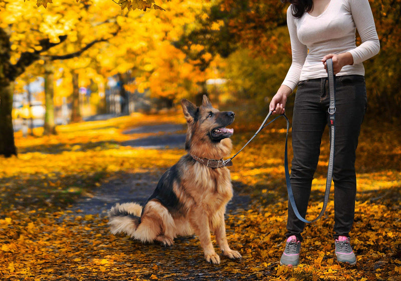 Heavy Duty Dog Leash | Double Handle Dog Leash To Hold Strong Dogs | Reflective Dog Leashes For Safe Night Walks | 6 Foot Dog Leash w/ Lockable Clip For Security | For Medium & Large Dogs 6 feet long Midnight Blue - PawsPlanet Australia