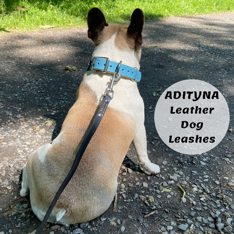 ADITYNA - Premium Leather Dog Leash - 6 ft, Heavy-Duty, Soft & Strong for Small/Medium Dogs (Medium: 6 ft x 5/8", Black) Medium: 6 ft x 5/8" - PawsPlanet Australia