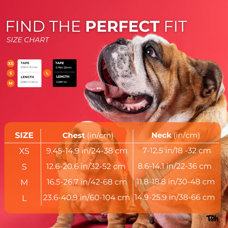 Dog Harness and Leash Set, Stylish Design Pet Harness Set with Adjustable Straps, Easy to Use and Comfortable Cat Harness and Leash, Perfect for Pets Training Outdoor Walking (Laguna, XSmall) Laguna - PawsPlanet Australia