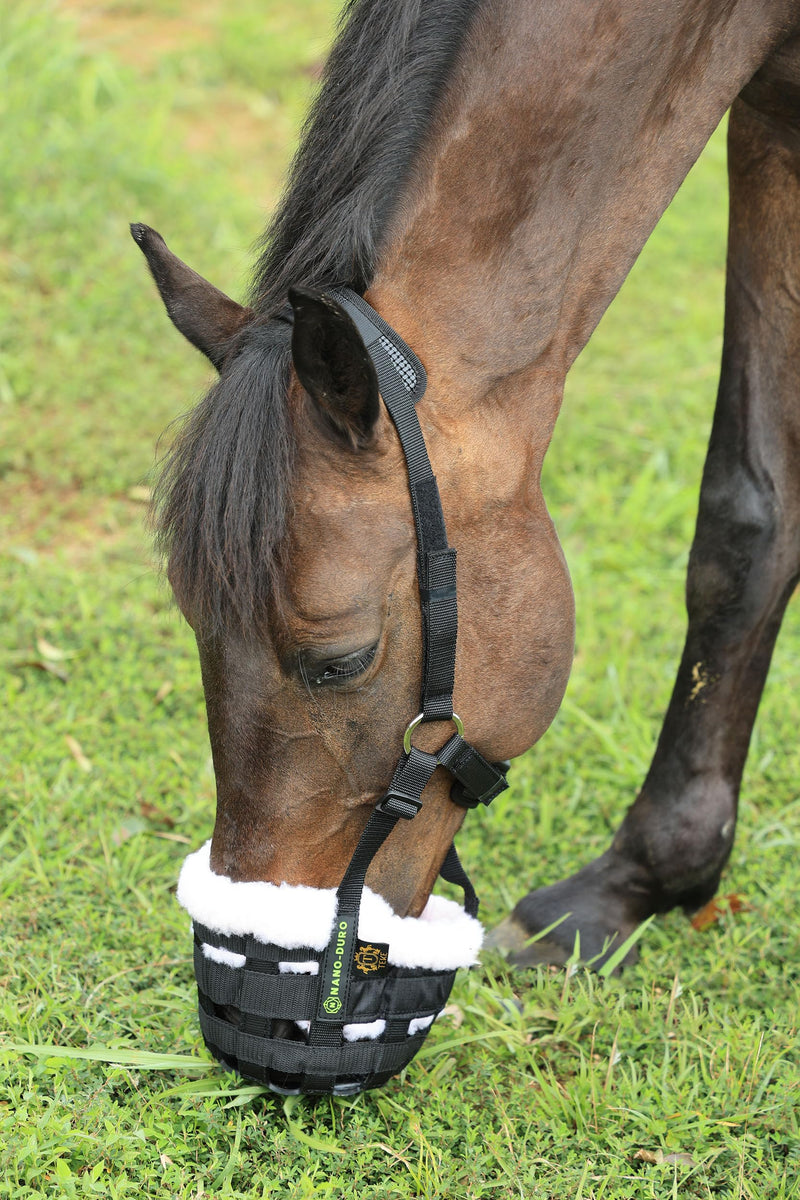 T TEKE Nano-Duro II Deluxe Horse Grazing Muzzle with Fleece Fur Lining, Full Adjustable Neoprene Cushion Halter Black COB