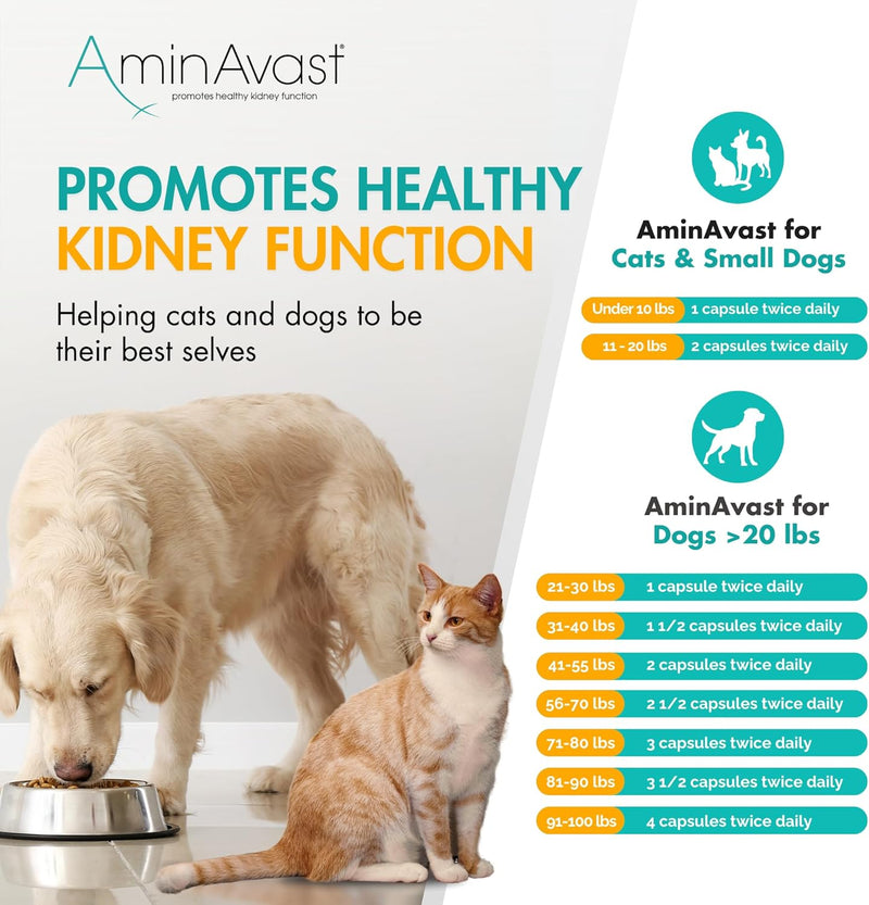 AminAvast Kidney Support Supplement for Cats and Dogs, 300mg - Promotes Natural Kidney Function - Aids in Health and Vitality of Aging Kidneys - Easily Administered - 60 Sprinkle Capsules - PawsPlanet Australia