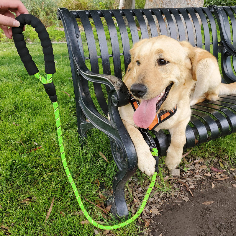 5ft 1/2in Strong Green Dog Leash - Highly Reflective Heavy Duty Rope Leash with Soft Padded Anti-Slip Handle - for 18-120 lbs Dogs 1/2" x 5 FT(18~120 lbs.) Light Green - PawsPlanet Australia