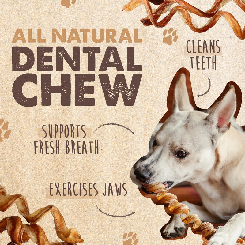 Mighty Paw Naturals Curly Bully Sticks for Dogs - Grass Fed Beef Dog Chews. Bully Sticks for Large Pets, Medium, Small Breeds. Lower Odor Treats for Small Pets. Single Ingredient 12”, 5 Pack 12" Curls - 5 Pack