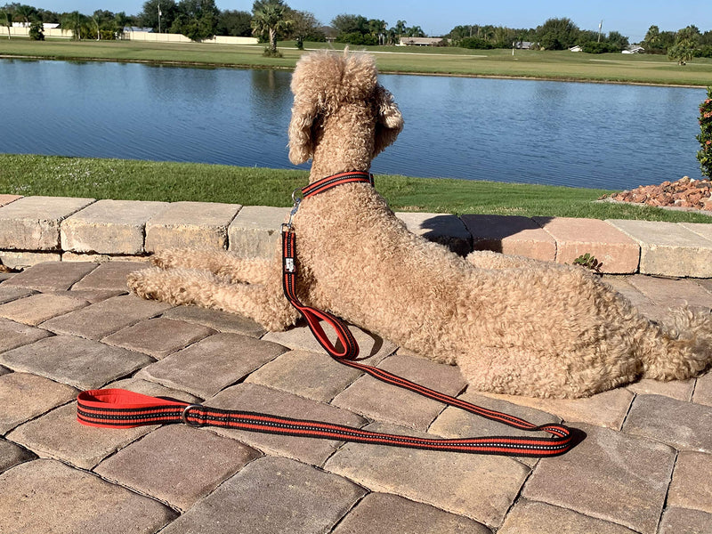 Black Rhino Dog Leash - Heavy Duty - Medium & Large Dogs | 5ft Long Leashes | Two Traffic Padded Comfort Handles for Safety Control Training - Double Handle Reflective Lead 5 Ft Red/Bl - PawsPlanet Australia