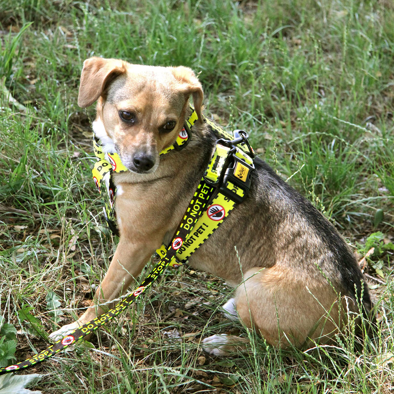 Dingo DO NOT PET Material Leash Adjustable Safe Control Caring for Special Dog Needs Black/Yellow Size L 15364 YELLOW - PawsPlanet Australia