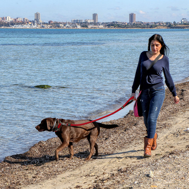 Kruz Premier 5ft Dog Mesh Leash - KZA1160-14S - Lightweight, Breathable, Comfort Puffy Mesh Leash - Secure Dual-Layered Tangle-Free Mesh Lead for Dog Walking, Running, Training - Red - 3/4" x 5 FT Medium: 3/4" x 5 FT - PawsPlanet Australia