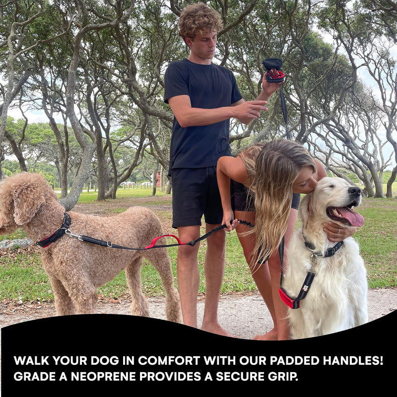 Black Rhino Dog Leash - Heavy Duty - Medium & Large Dogs | 6ft Long Leashes | Two Traffic Padded Comfort Handles for Safety Control Training - Double Handle Reflective Lead (Green) Green