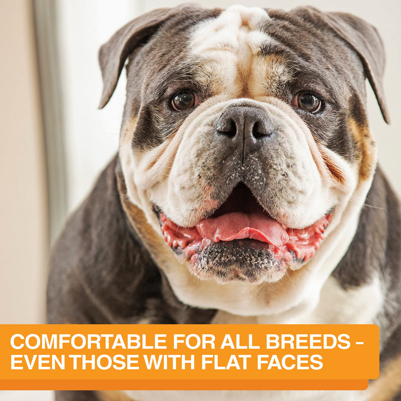 The Niner Slow Feed Bowl - Raised Peaks Slow Down Pets Eating - Fits Elevated Feeders Including Neater Feeder Large Sizes - Gentle on Teeth and Gums - Holds up to 2 Cups (Gunmetal Grey) Gunmetal Grey - PawsPlanet Australia