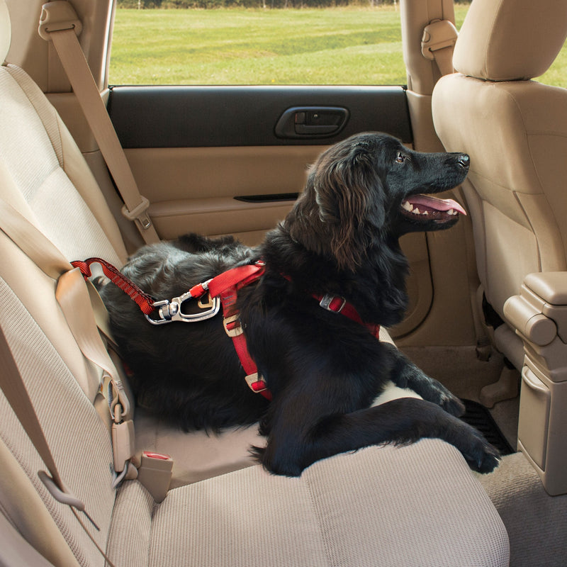 Kurgo Swivel Seatbelt Tether for Dogs, Car Seat Belt for Pets, Adjustable Dog Safety Belt Leash, Quick & Easy Installation, Works with Any Pet Harness, Swivel Tether Carabiner Clip (Red) Red - PawsPlanet Australia