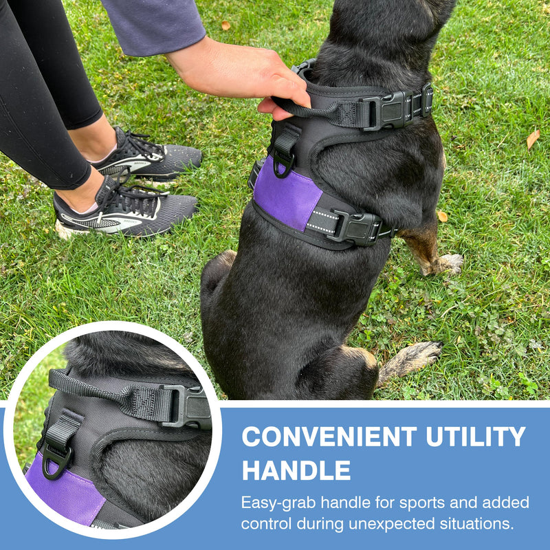 The North Star Dog Harness™ - Comfortable, Fully Adjustable, Designed to Reduce Pulling, Escape Resistant, Durable, fastens Easily and securely with Airtag Holder (Black/Grey, S) Black/Grey - PawsPlanet Australia
