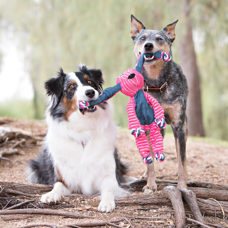 KONG - Floppy Knots Hippo - Internal Knotted Ropes and Minimal Stuffing for Less Mess - For Small/Medium Dogs Standard Packaging - PawsPlanet Australia