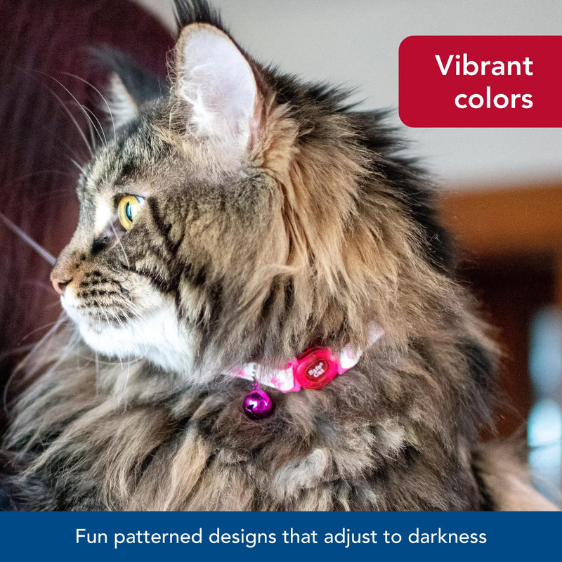 Coastal Pet - Safe Cat Glow in The Dark Adjustable Breakaway Collar - Glowing Pink Queen - 3/8" x 8"-12" 3/8" x 08"-12" (Pack of 1) - PawsPlanet Australia