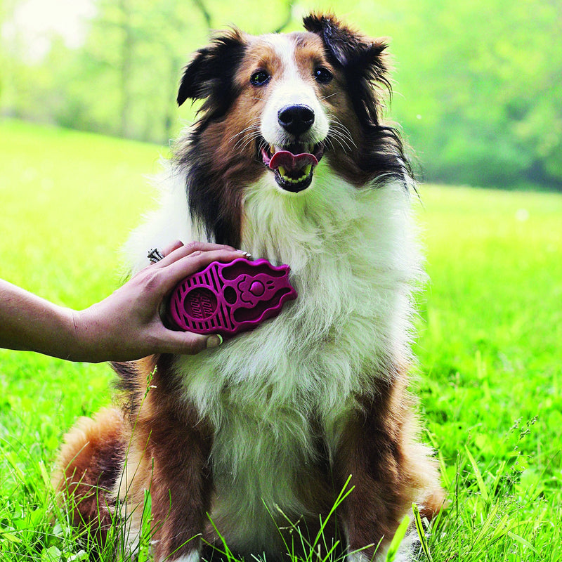 KONG - ZoomGroom - Dog Brush for Grooming and Shampooing - For Large Dogs (Blue) Blue Standard Packaging - PawsPlanet Australia
